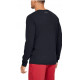 UNDER ARMOUR longsleeves tee shirt